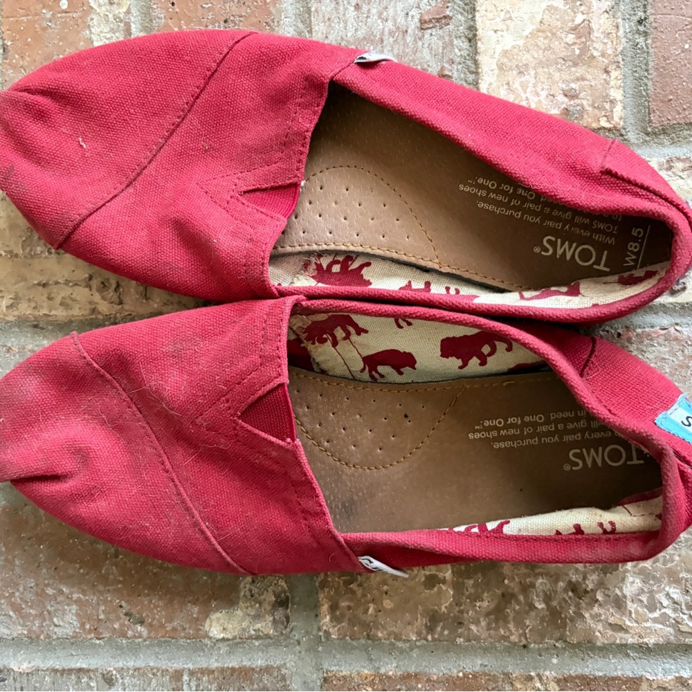 Toms Pink Elephant Canvas Shoes